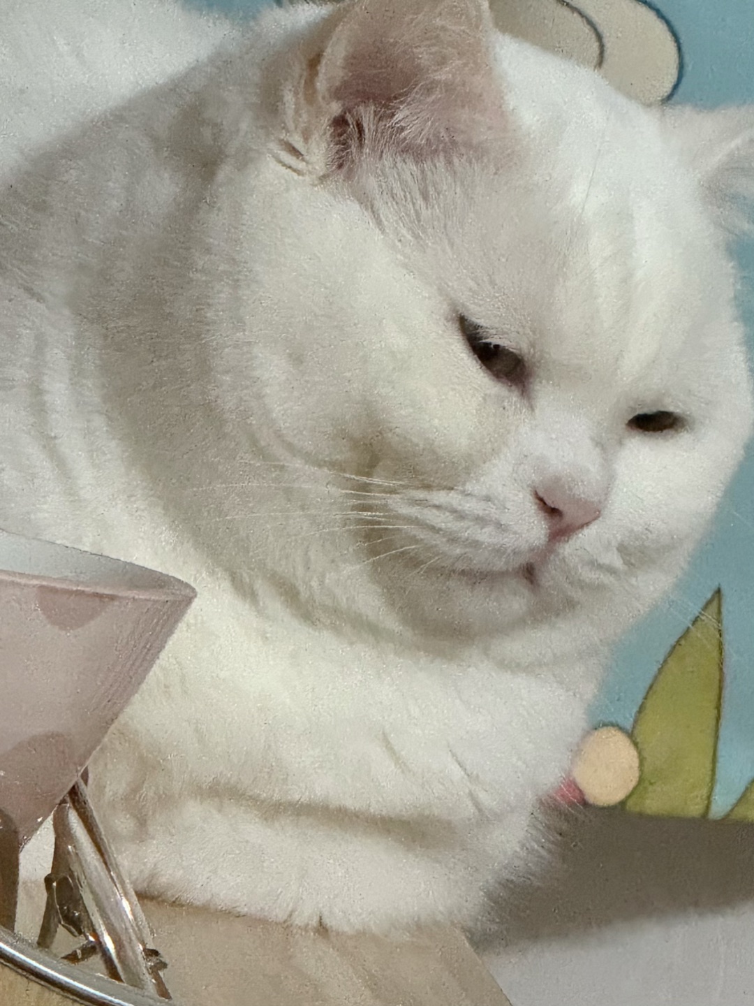 西五街