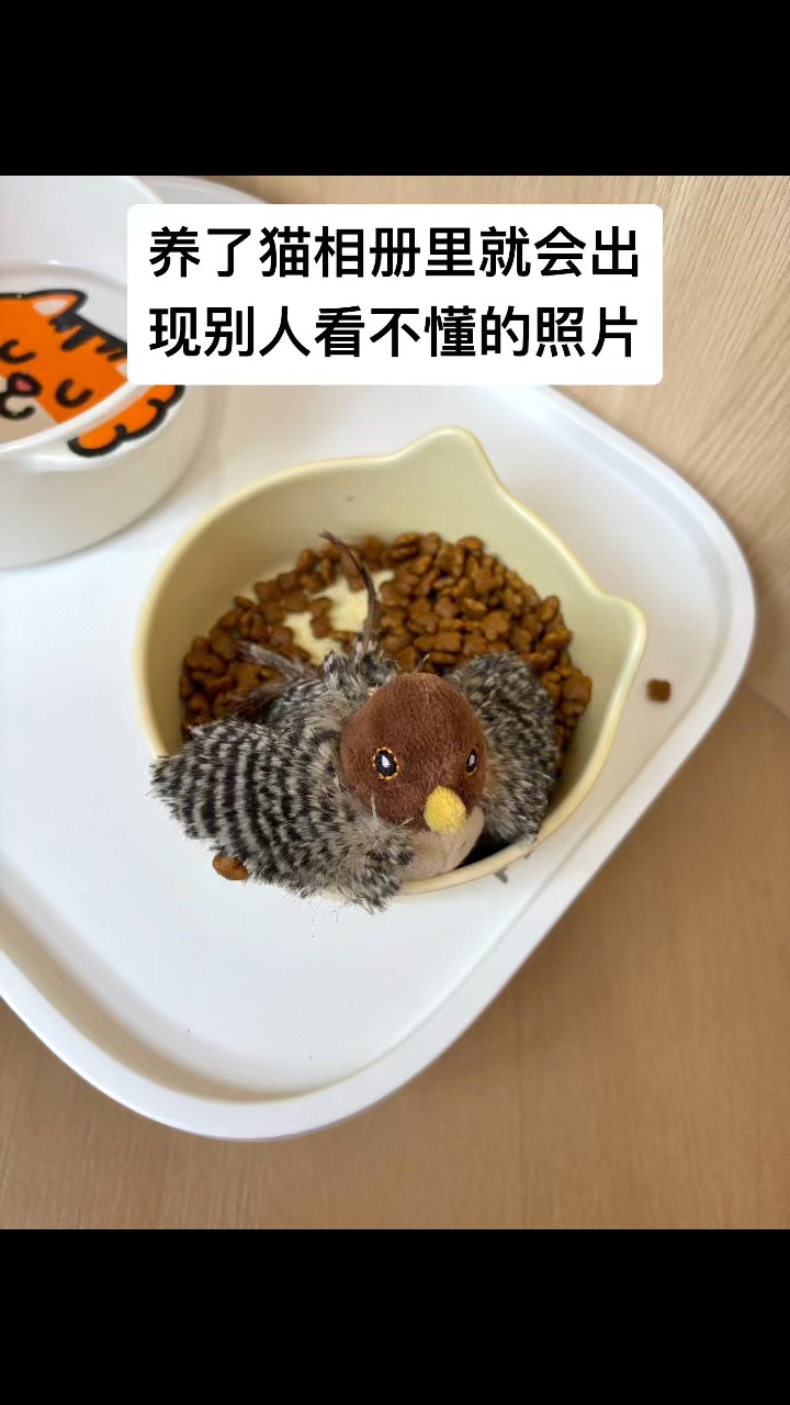 手机里多了让人看不懂的照片