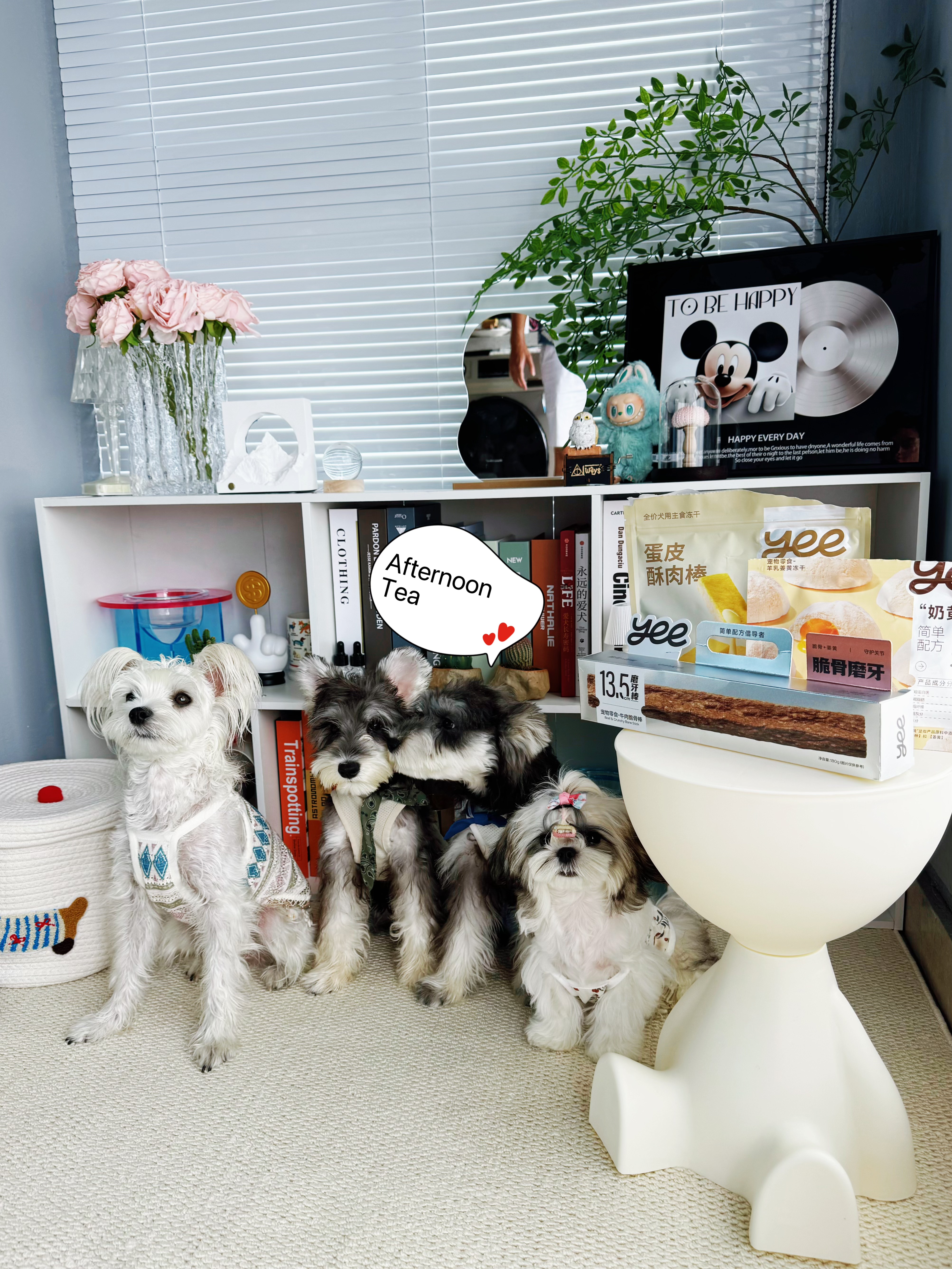 ✨多狗家庭下午茶时光，已经准备好了！🐾