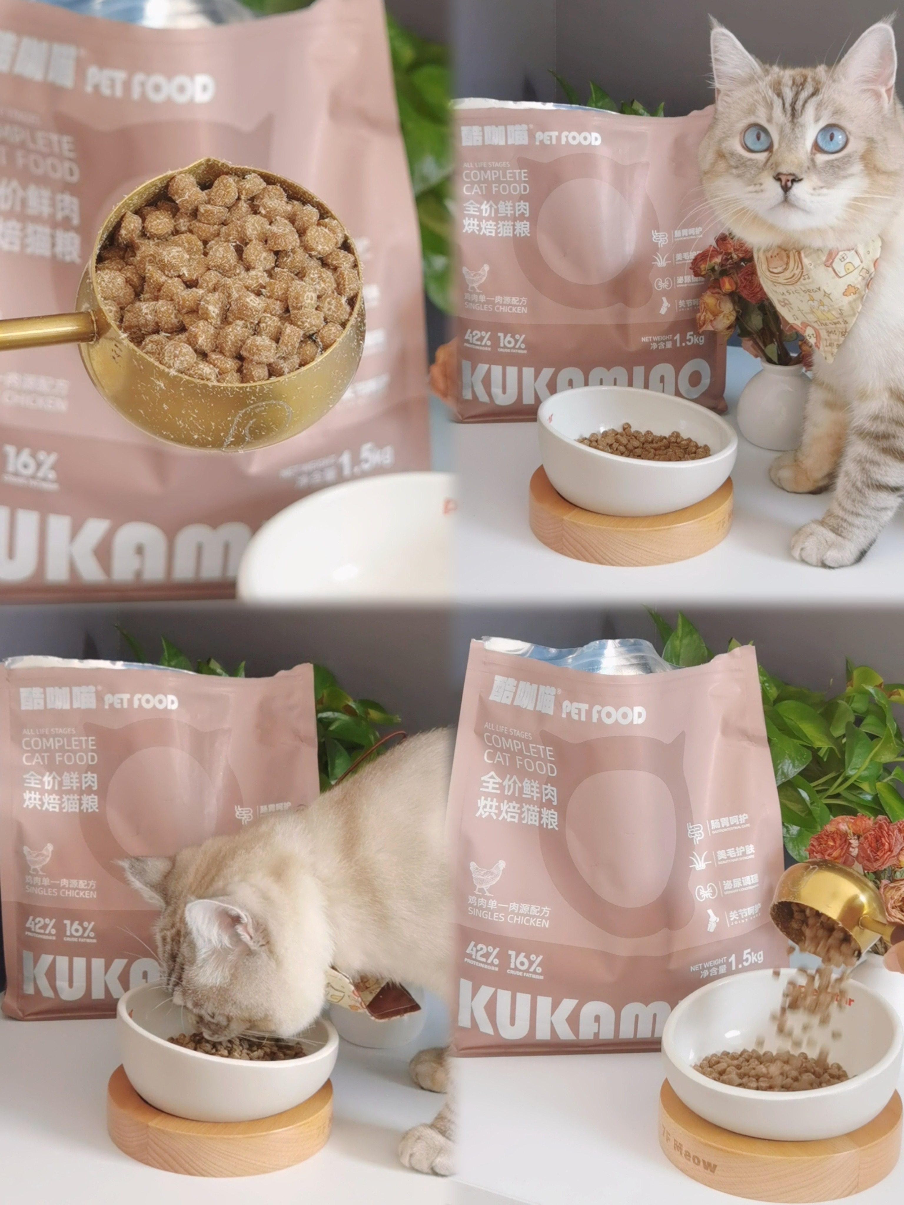 挑食的小猫都吃啥？