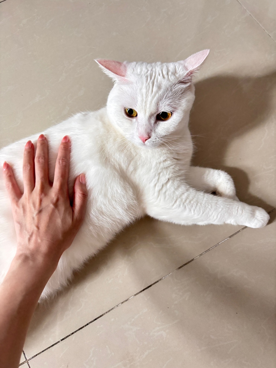 西五街