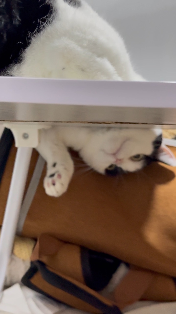 倒立挂住
