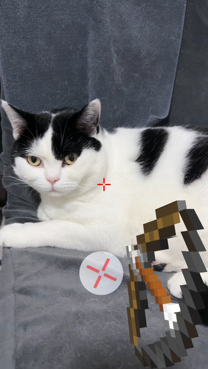 猫咪欺负我 于是我…