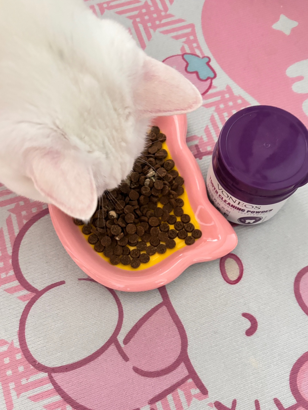 🐱🐶养宠物必看‼️猫咪狗狗洁牙好物🦷✨