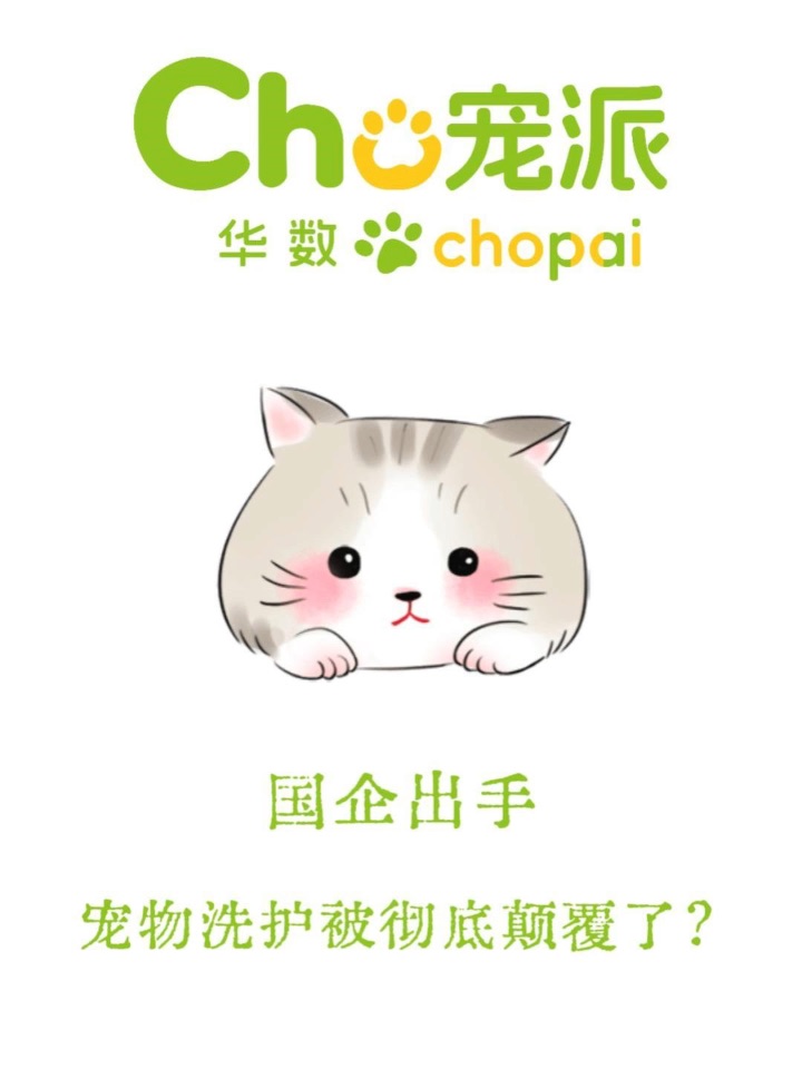 🐾告别洗澡焦虑！国企连锁太安心✨