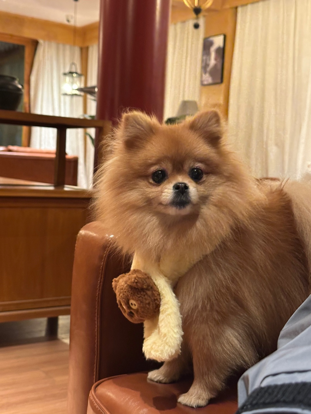小抖我也有围巾了🧣
