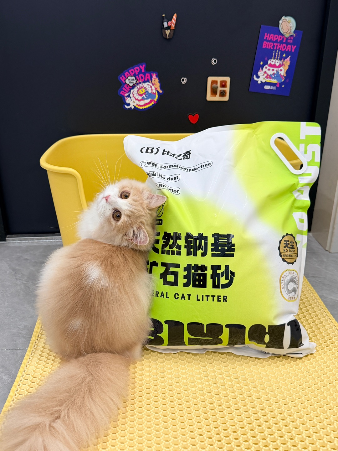 西五街