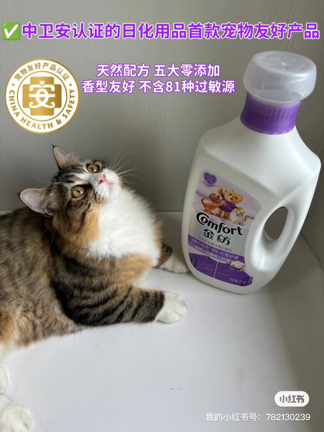 西五街
