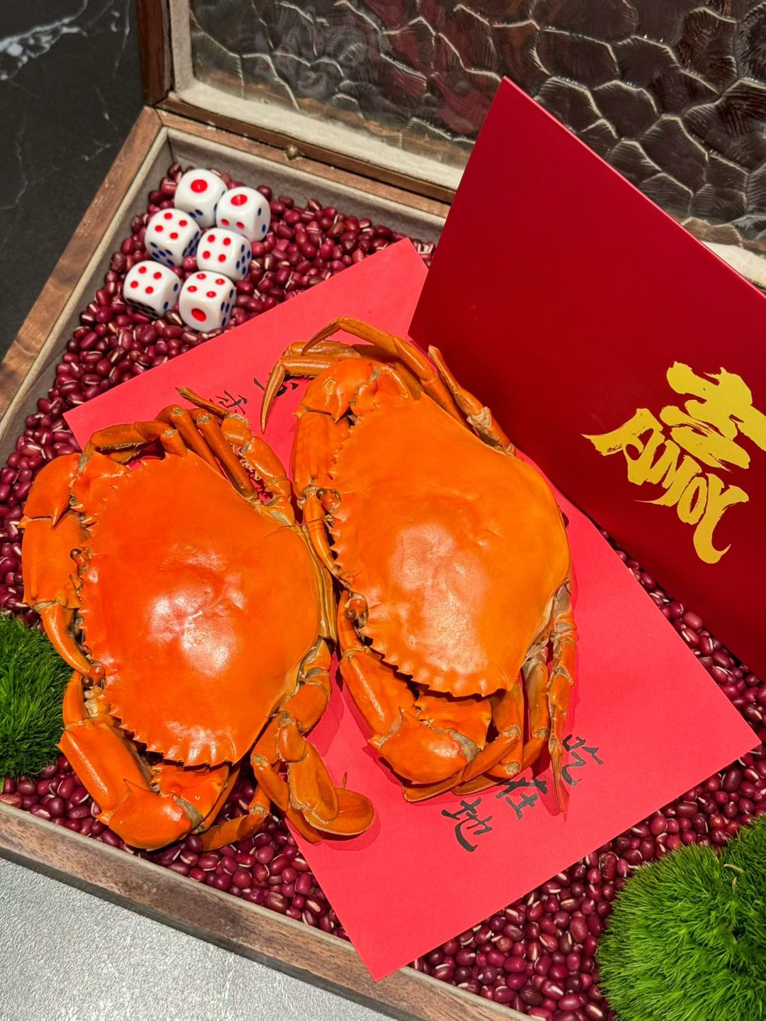 厦门黑珍珠