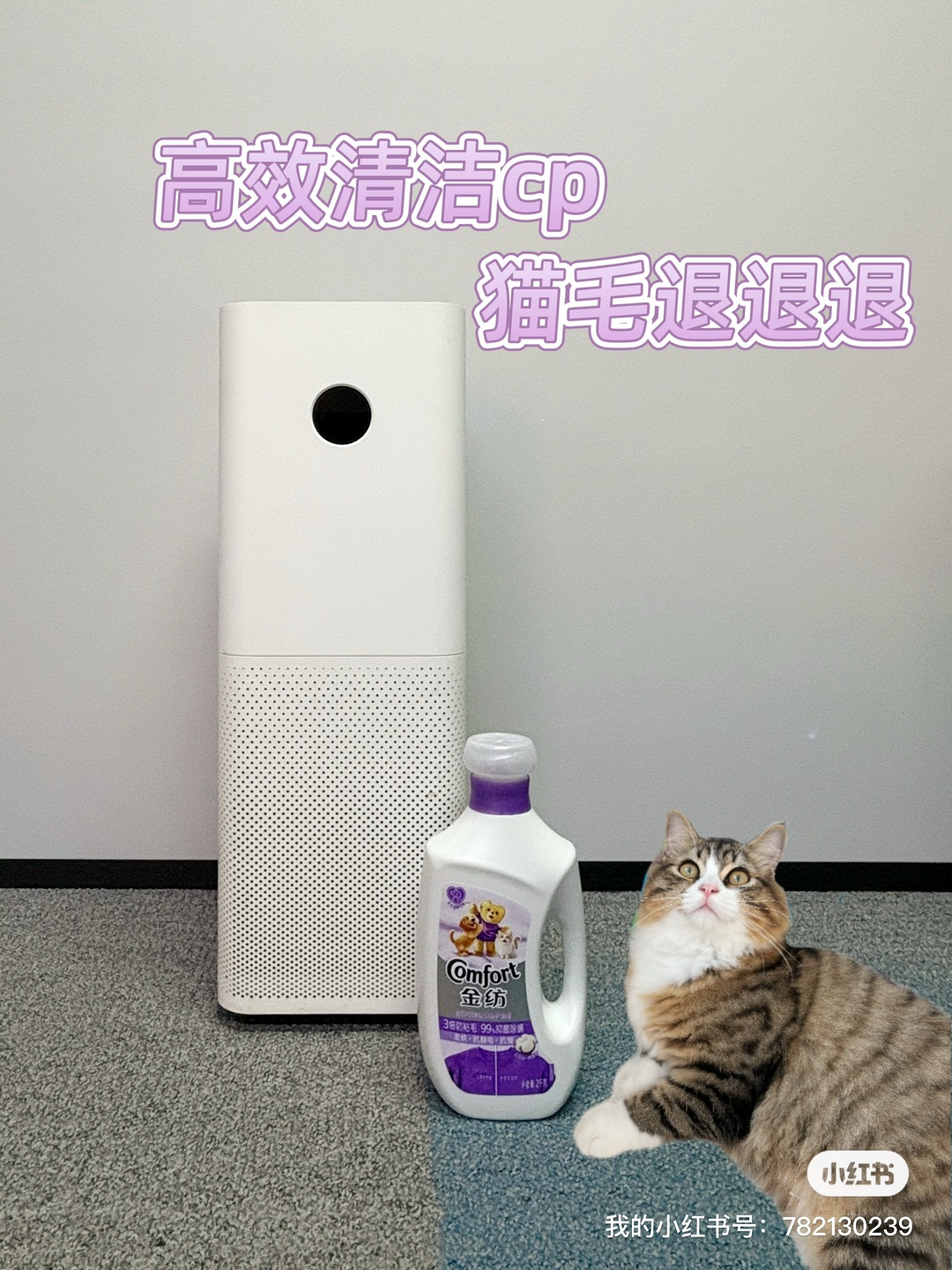 西五街
