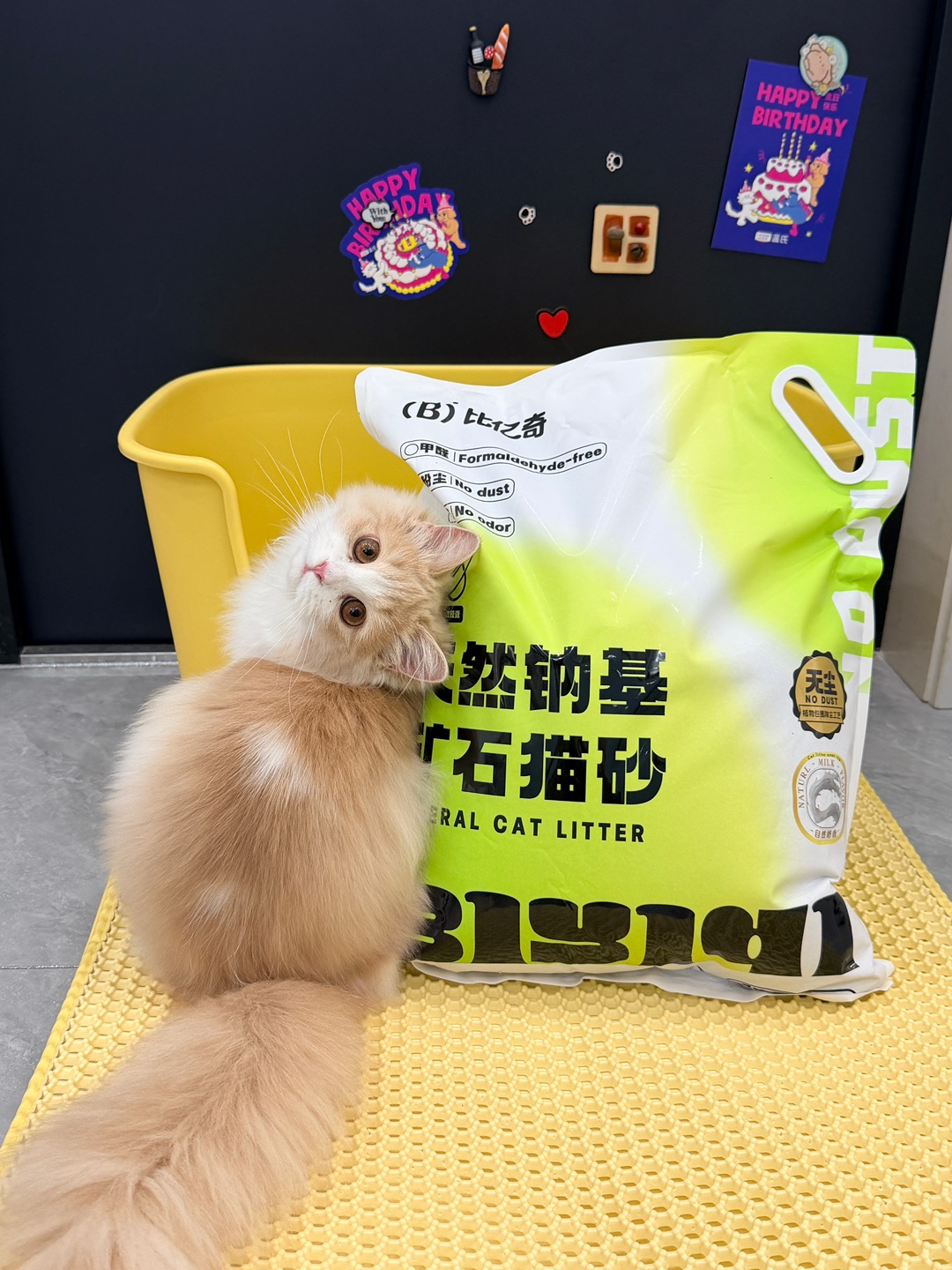 西五街