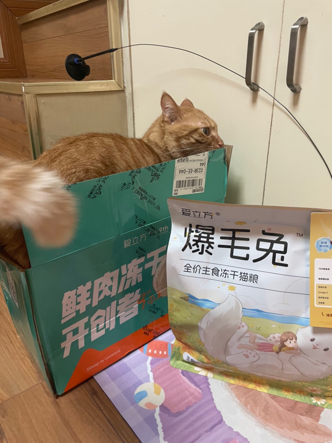 西五街
