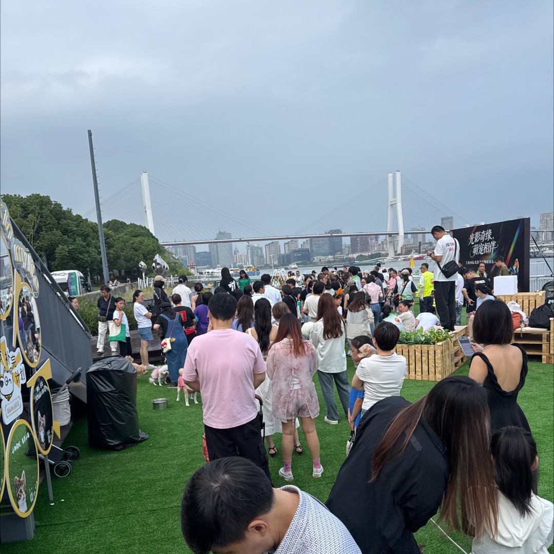黄浦光影节