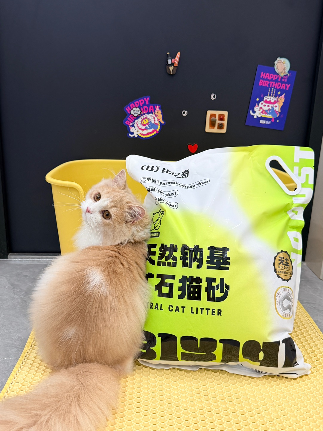 西五街