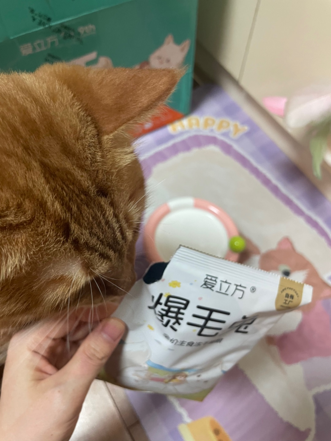 西五街