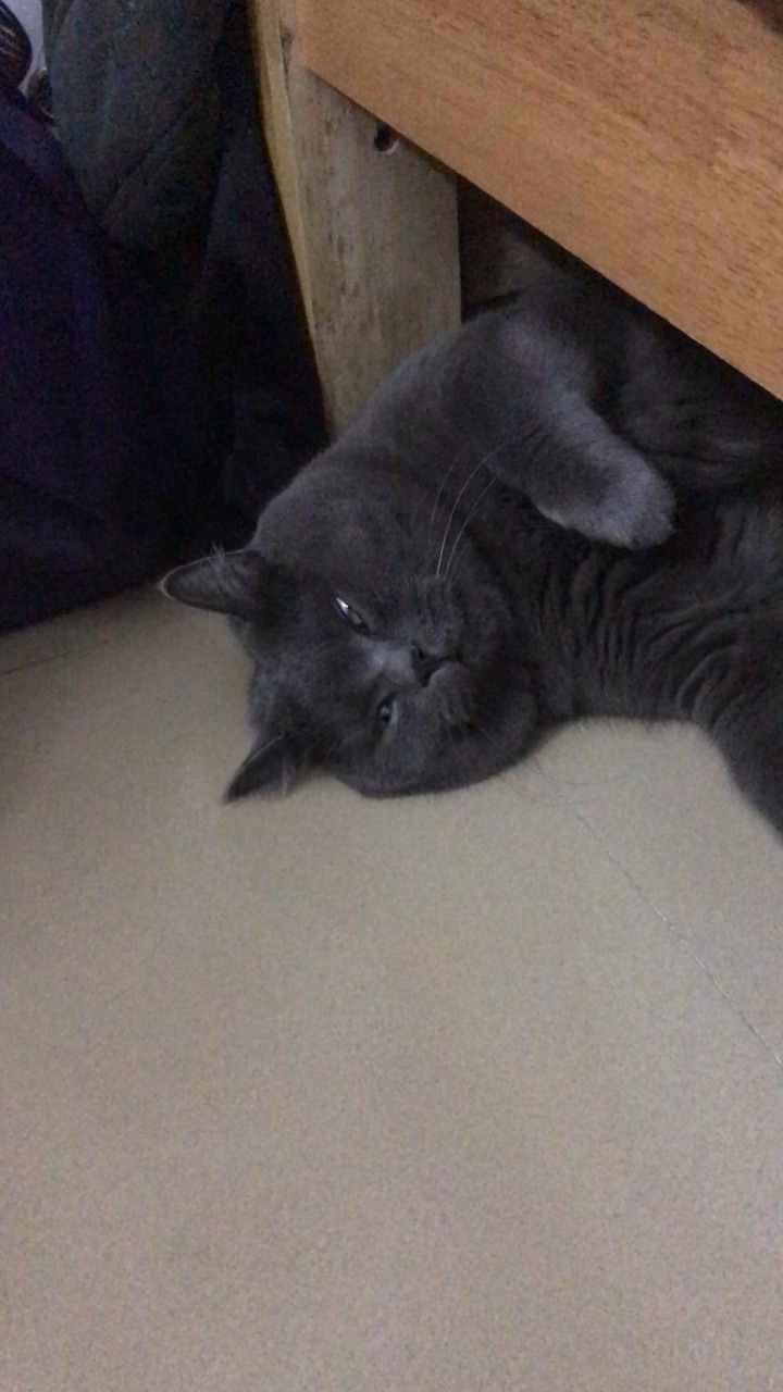 假期第一天