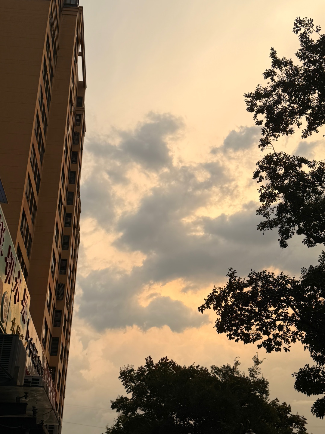 我心向阳，山野皆暖