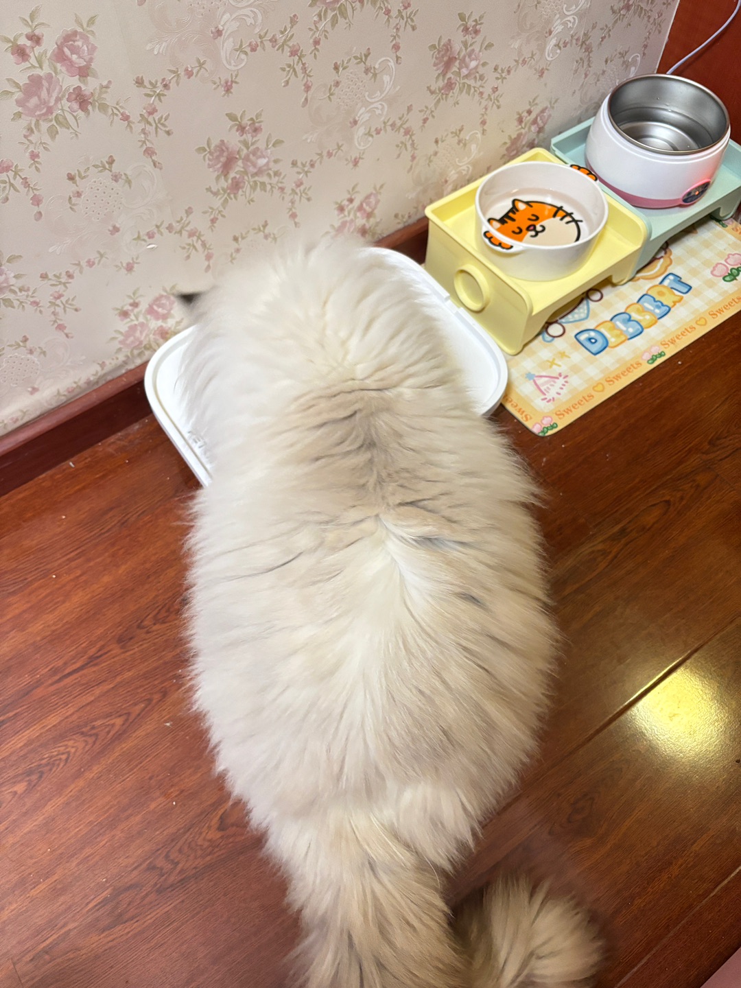 西五街