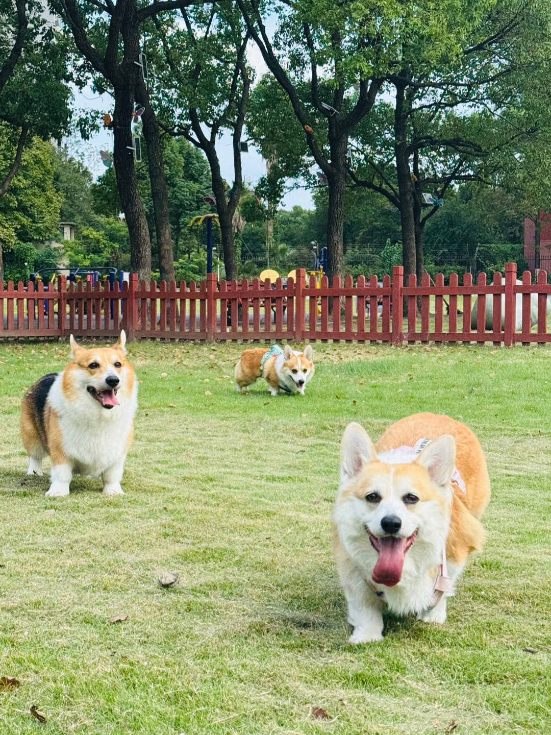 西五街