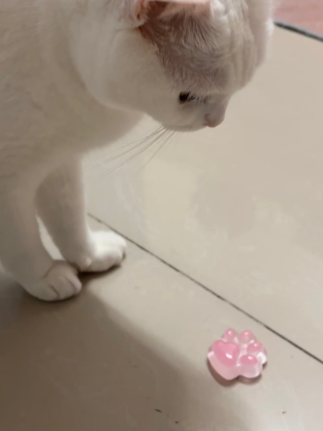 西五街