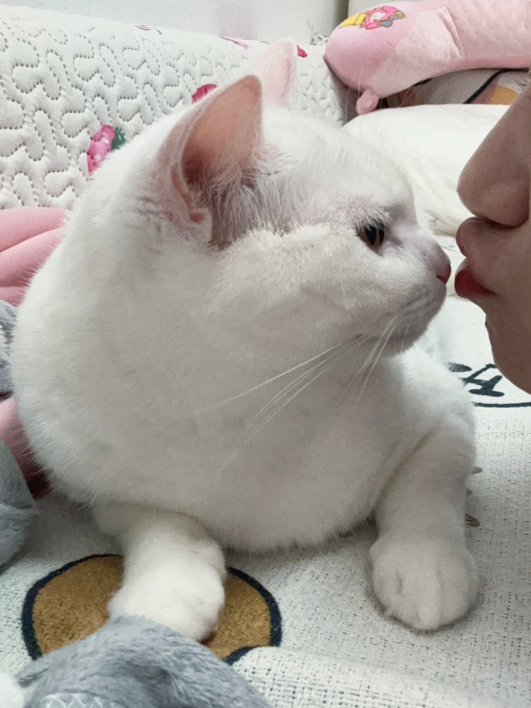 西五街