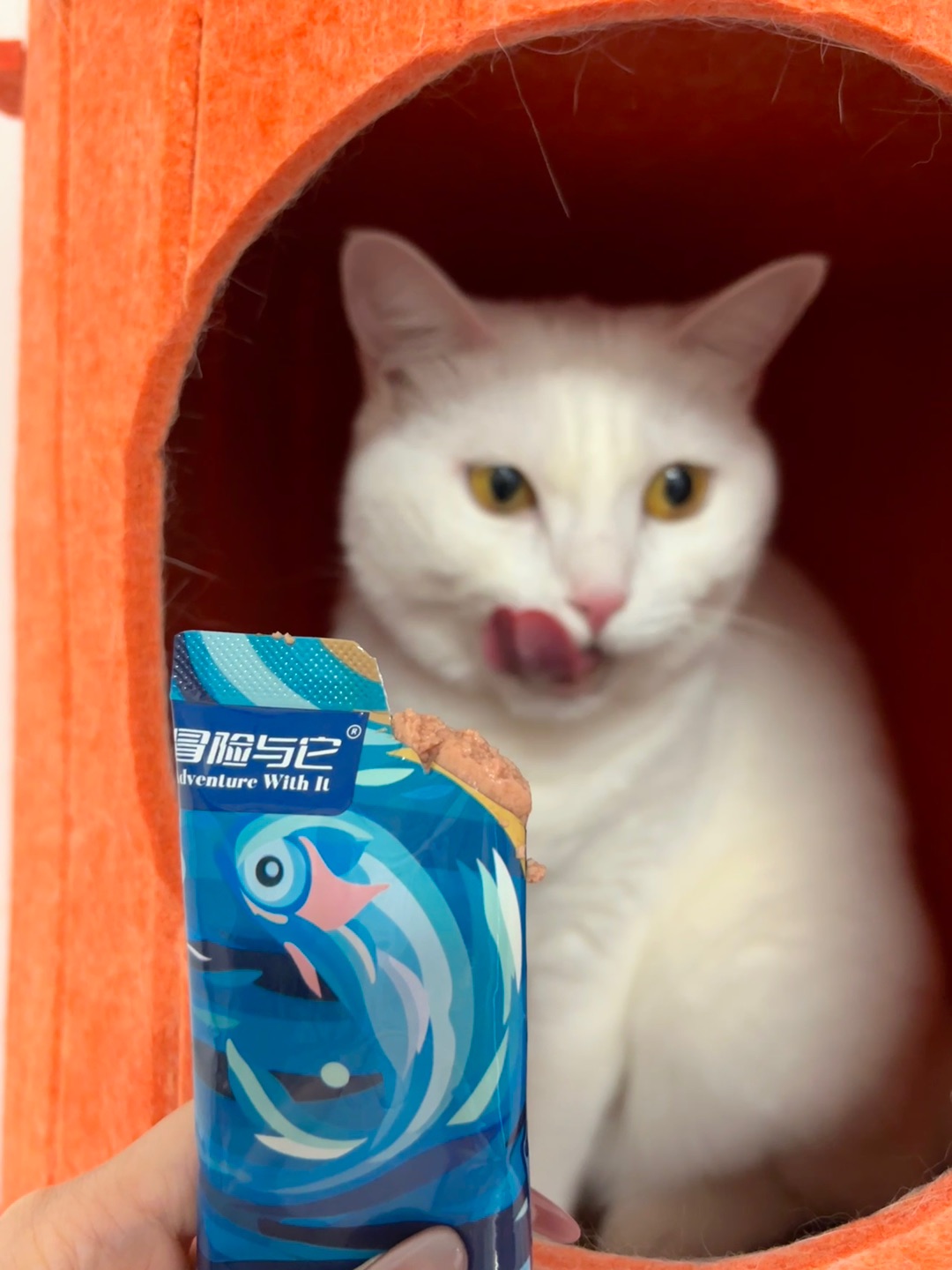 西五街