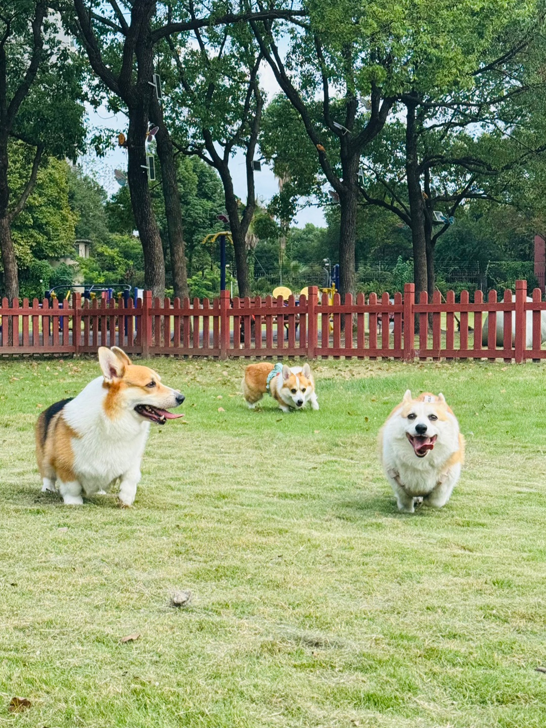 西五街