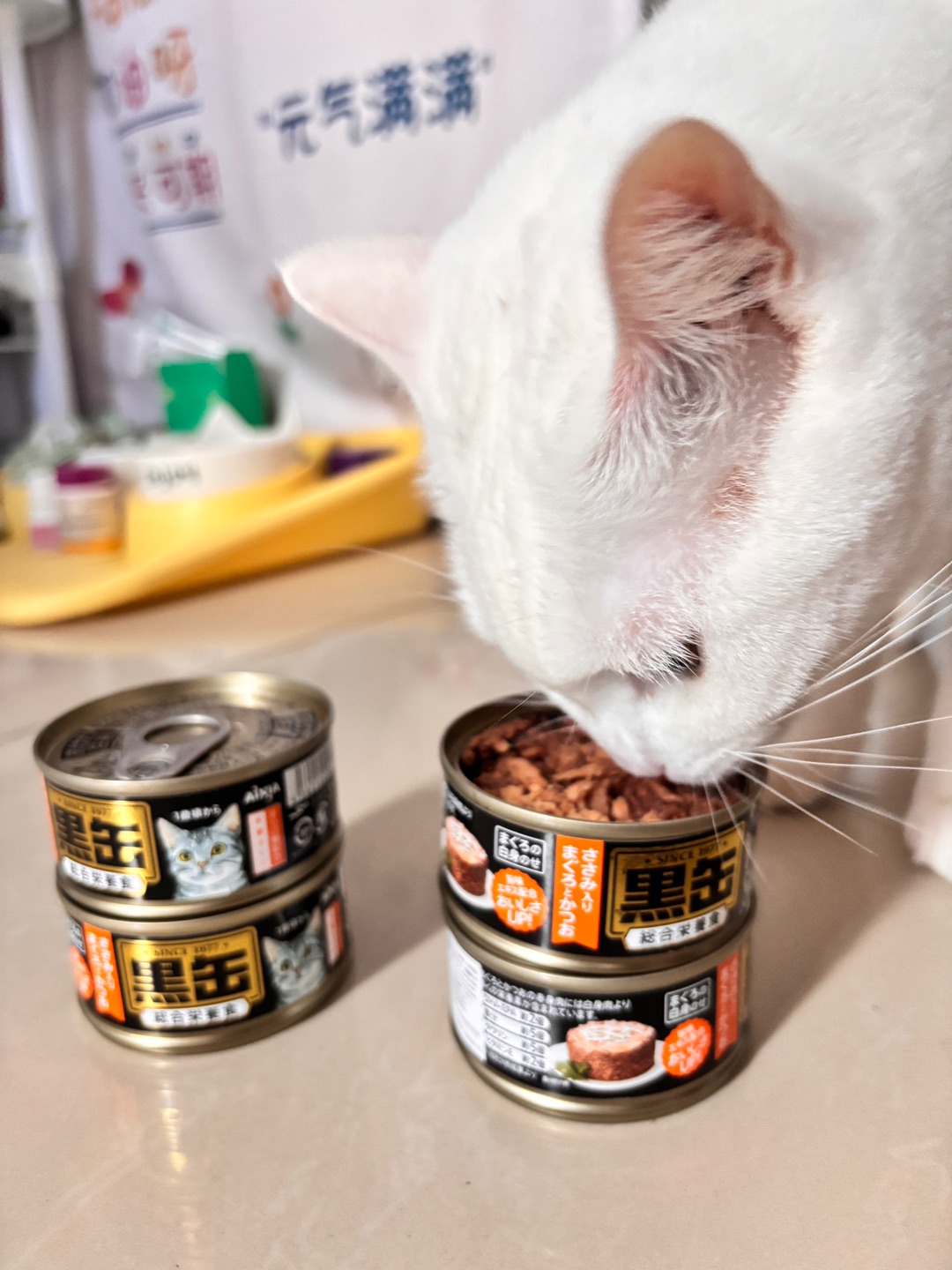 11.4猫咪最爱的猫罐头🥫