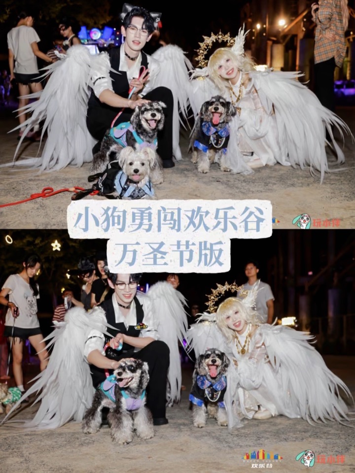 小狗勇闯欢乐谷万圣节版