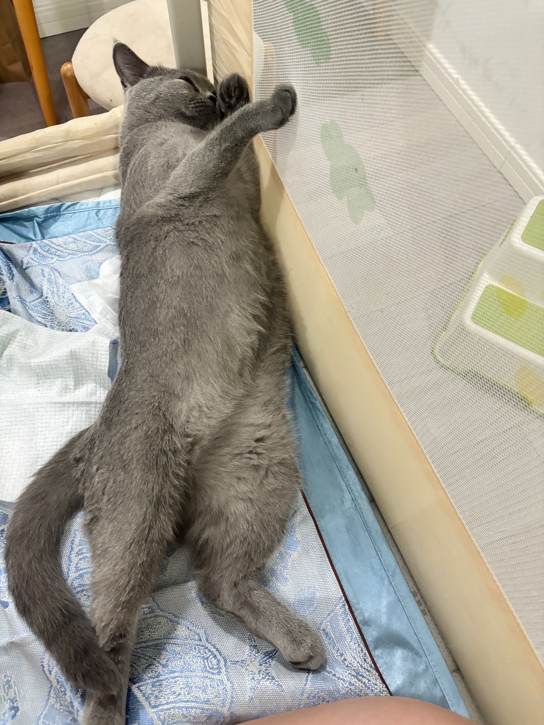 假期干什么呢？