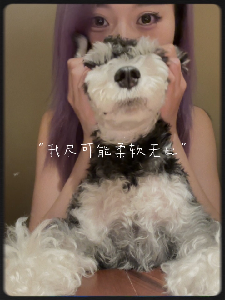 和我的小狗一起快乐的活着