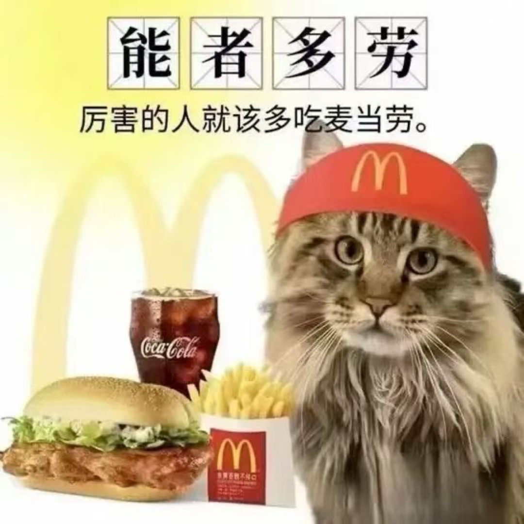 能者多劳