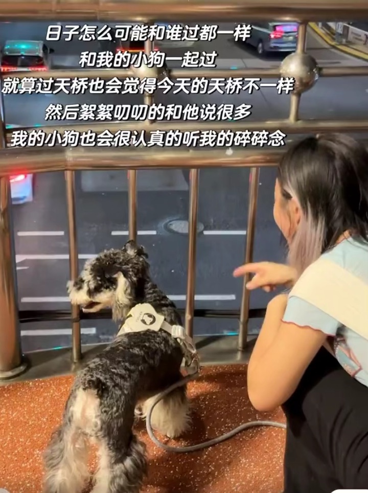 日子怎么可能和谁过都一样