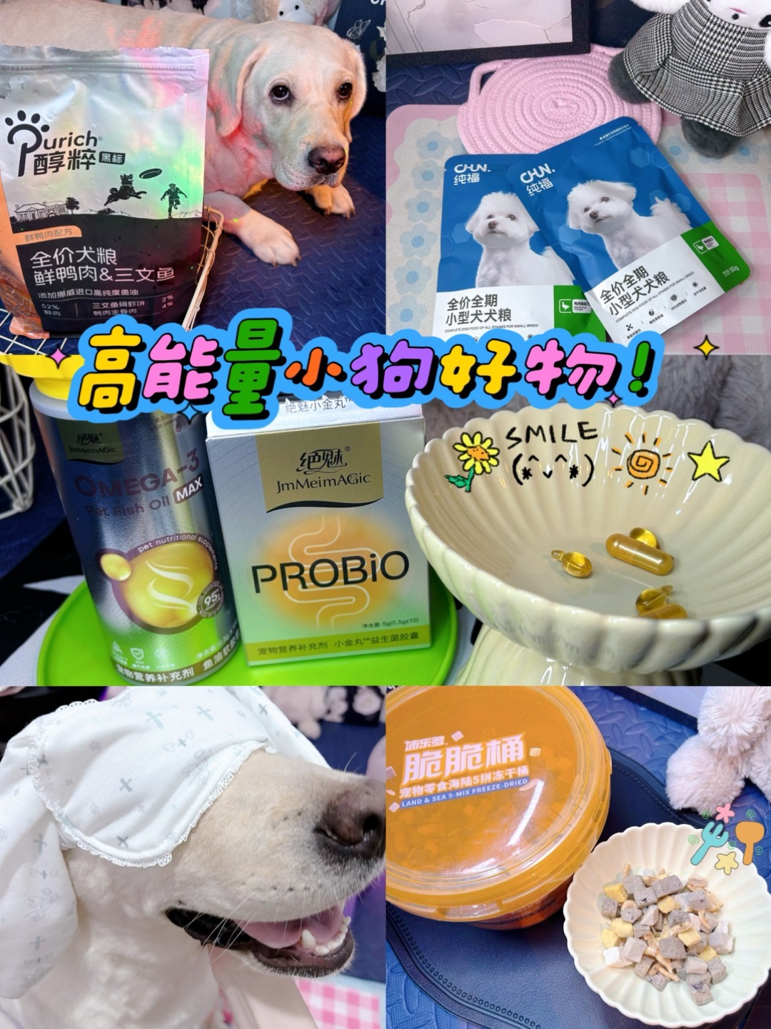 高能量小斗图小姐和雪碧崽崽已返工位🐶