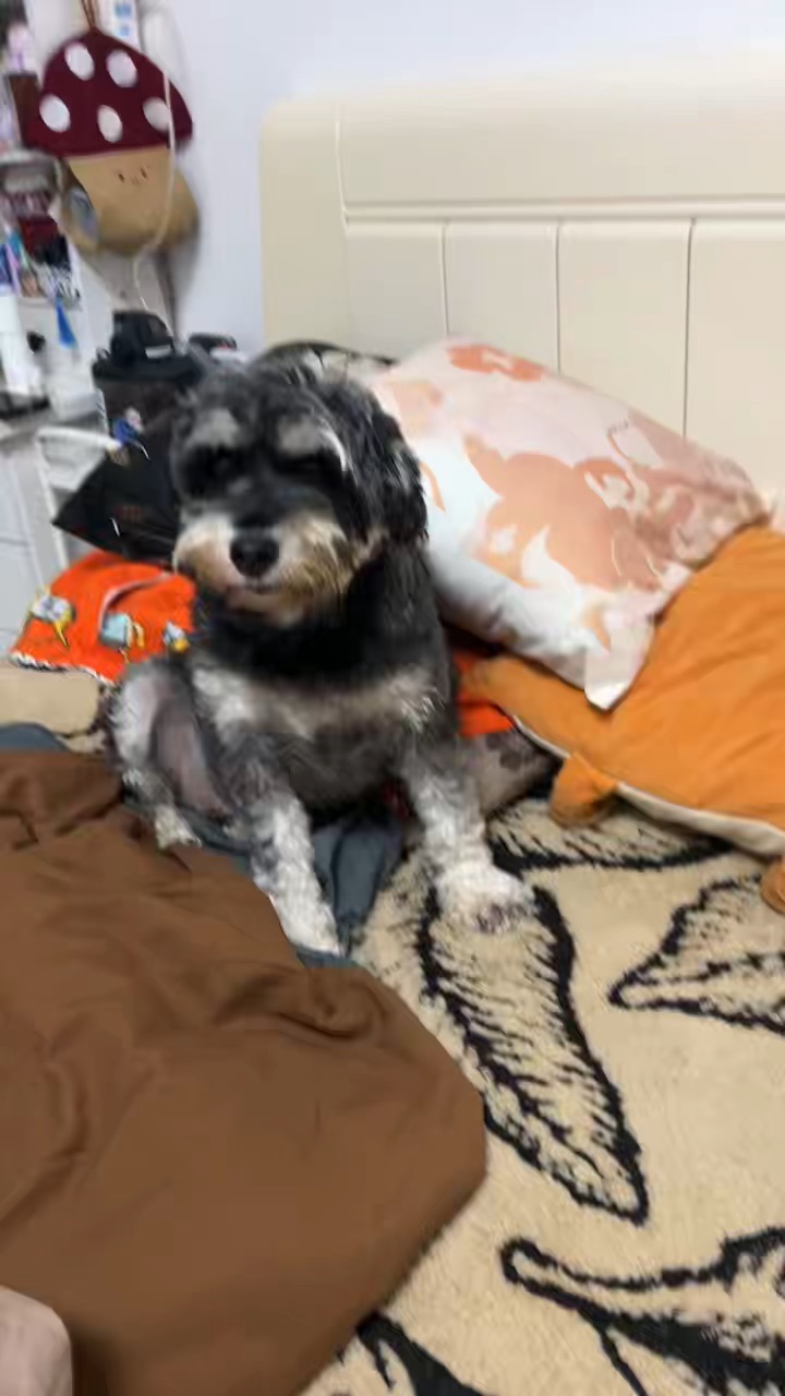 打卡