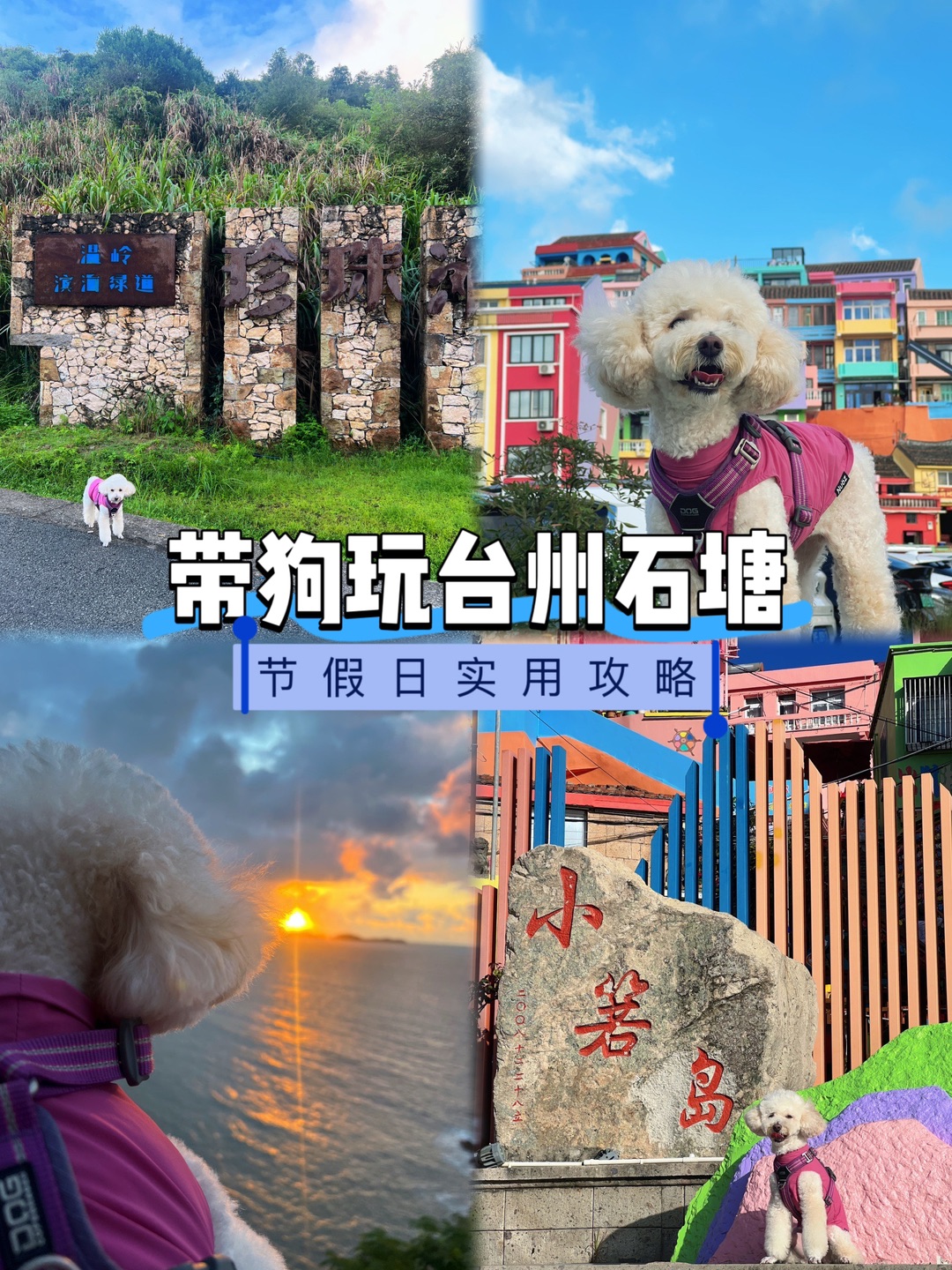 带狗玩台州石塘-节假日实用攻略🔖