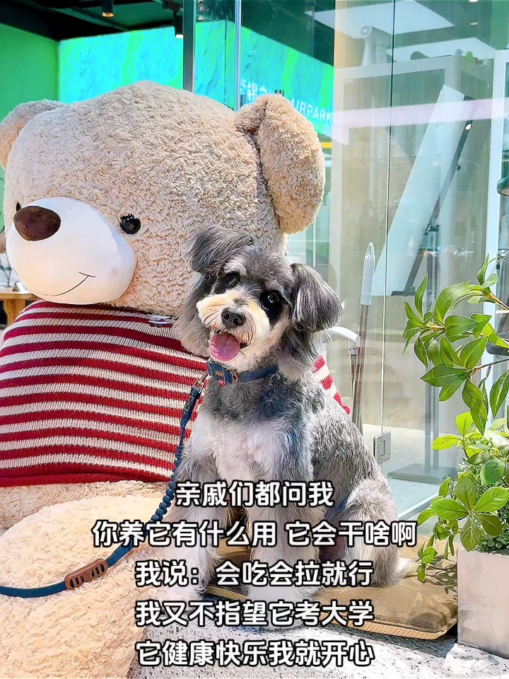 俺是大学生就行了 别蛐蛐我的小斗