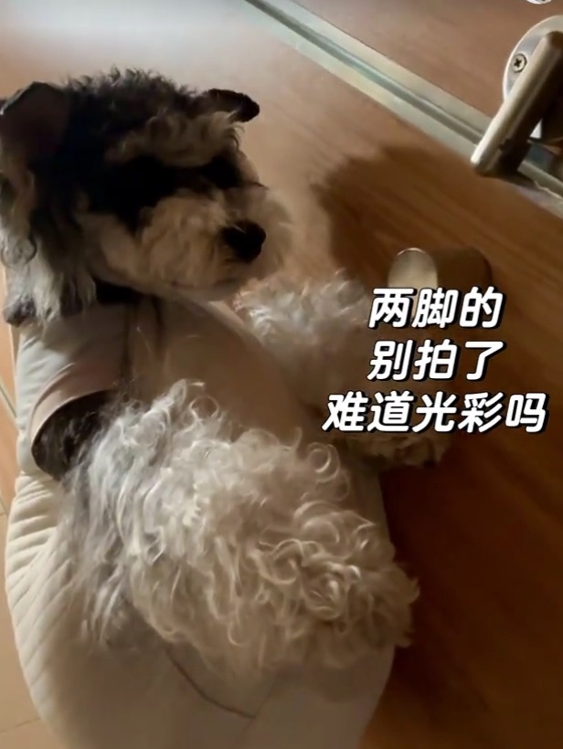那个啥你先挂一会我很快就好