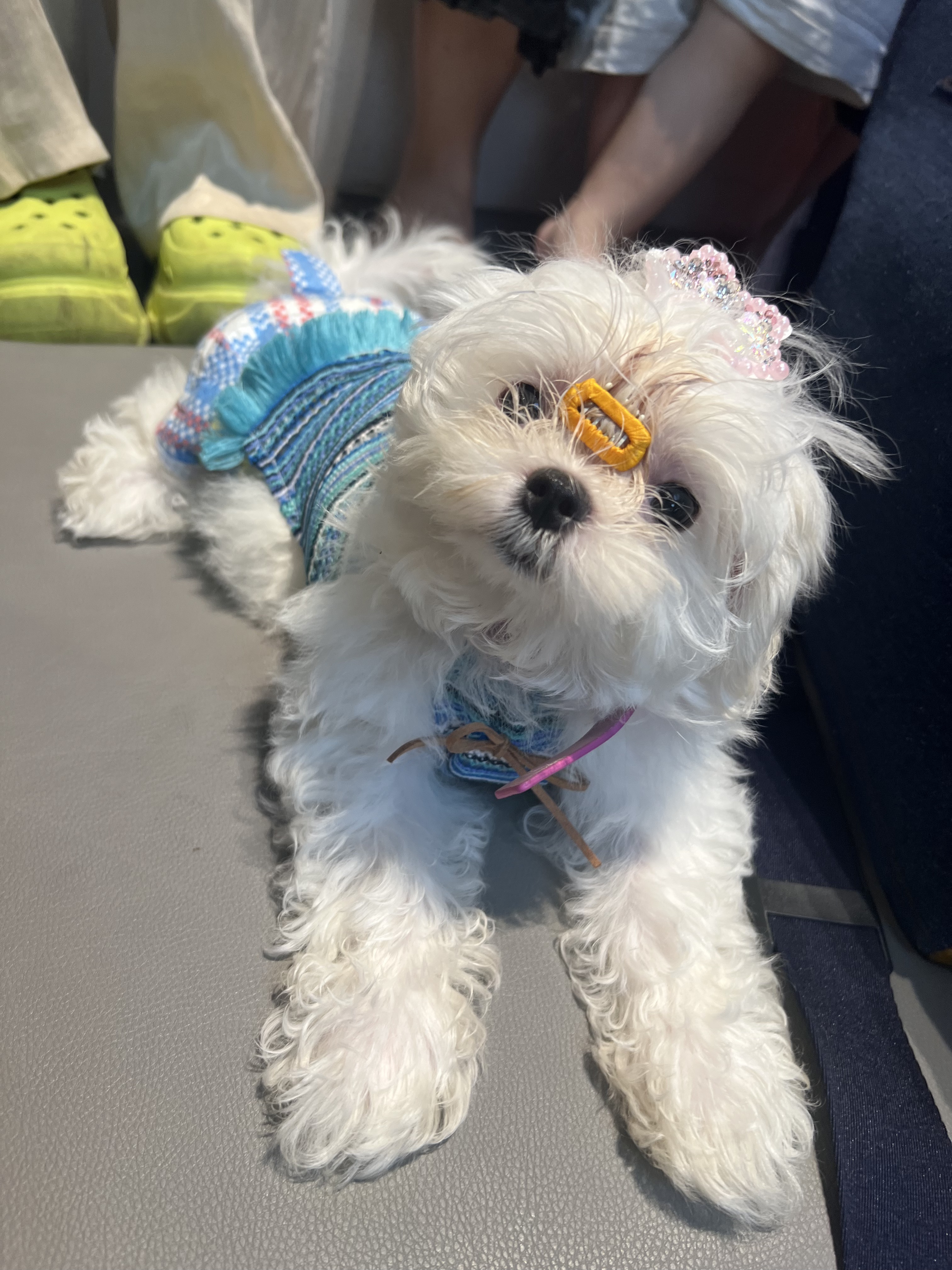 评弹要从小🐶抓起