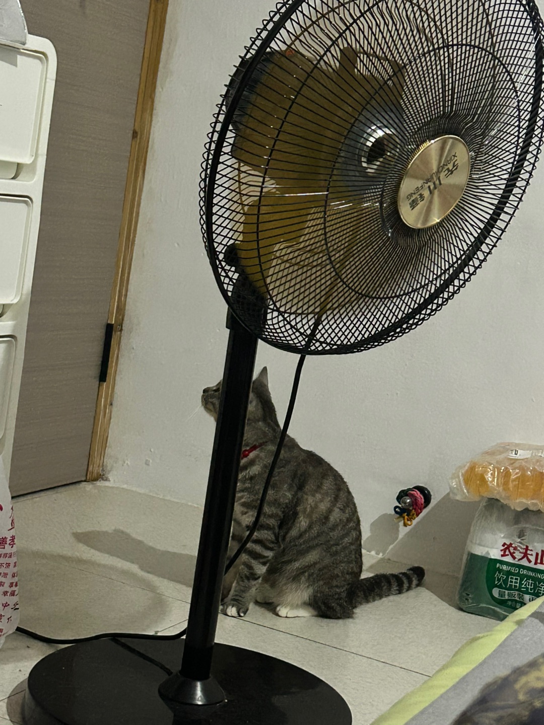 10.14 我可以出去玩吗