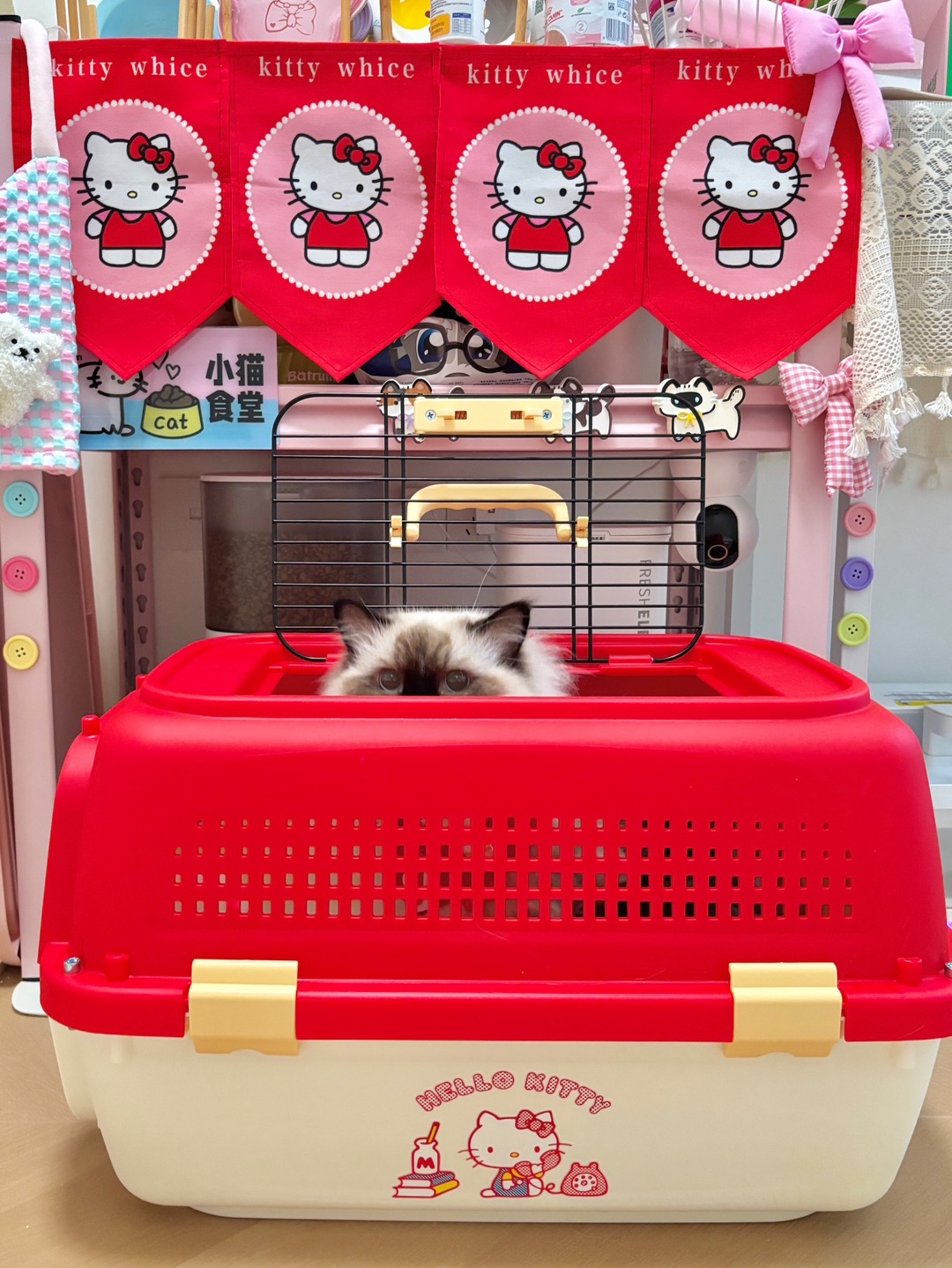 Hello Kitty猫包！喵星人也走甜妹风💖