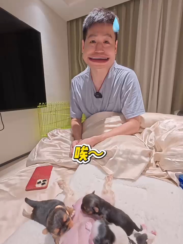 🔥宠物主理人才懂的痛｜24小时把屎把尿实录