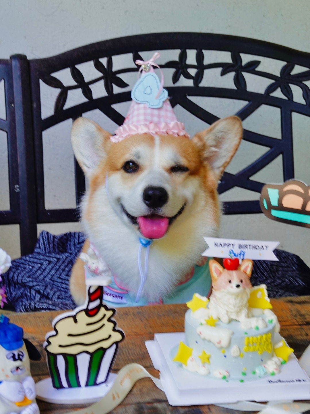 汪：能不能停下手机🤳🏻祝我生日快乐呀🎂