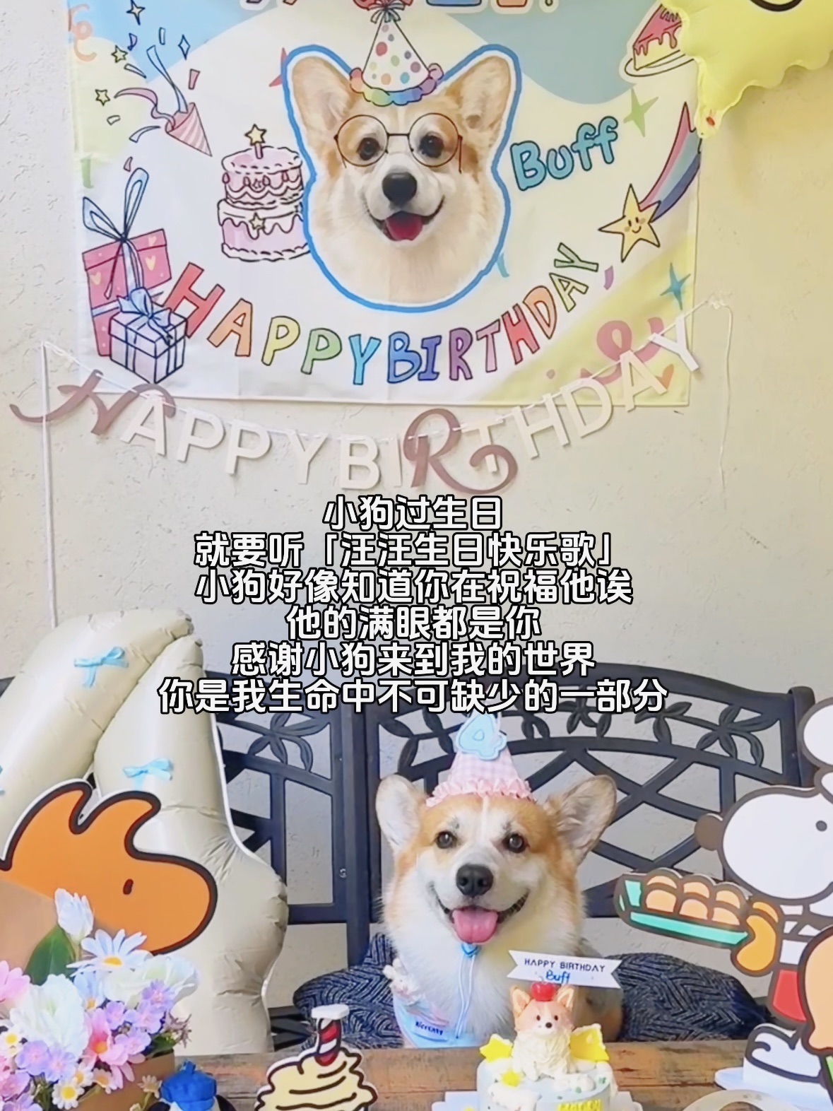 你的存在就像闪烁的星星✨点亮我平凡的生活