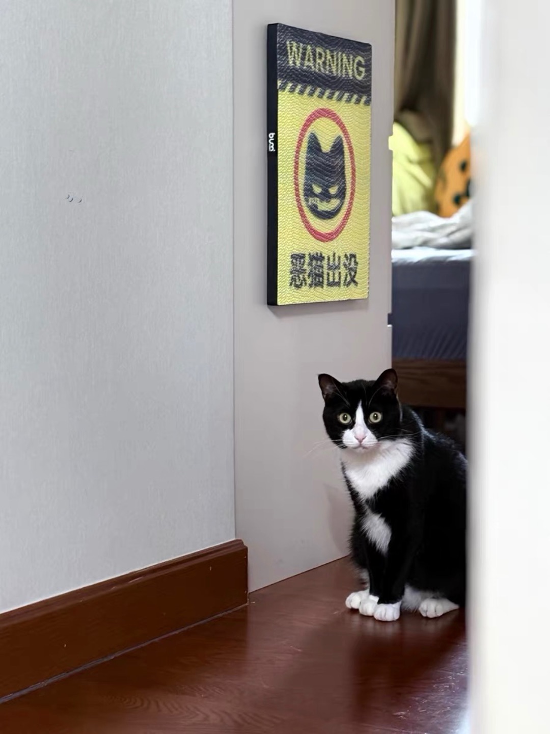 #测评/测评  这款猫抓板太懂猫了！瓦楞纸厚实耐抓，猫咪天天抱着磨爪不霍霍沙发，还能窝上面睡觉，颜值高又实用，养猫家庭闭眼入！