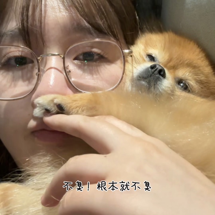 糯糯青山谁敢闻