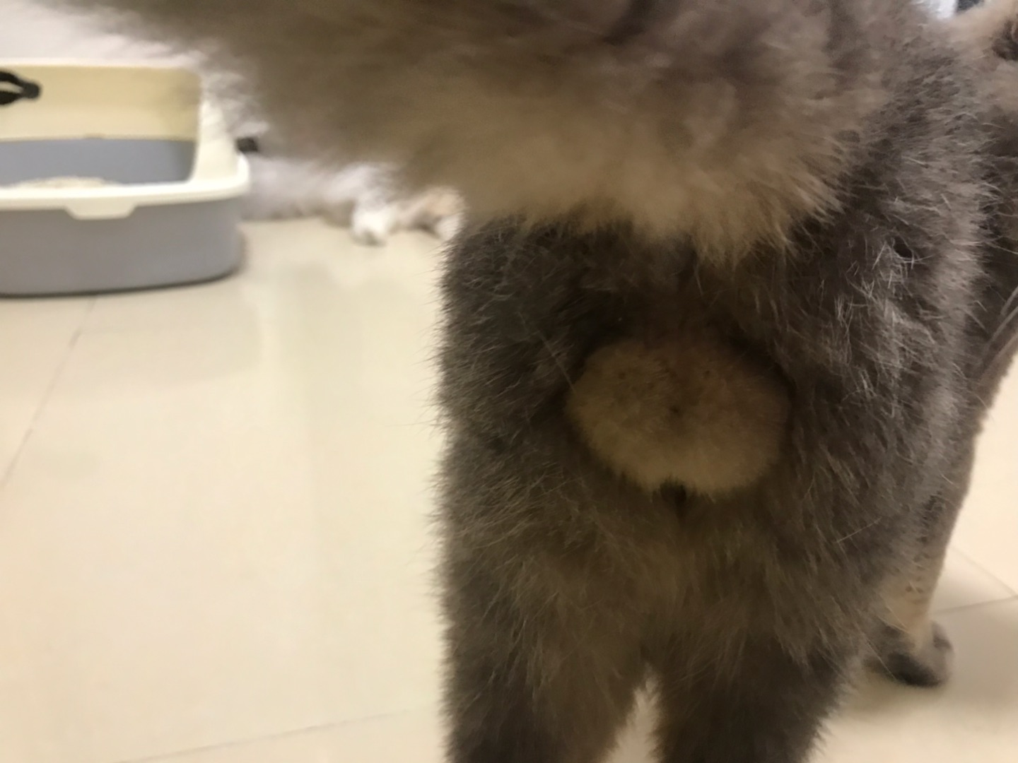 看懂嘘🤫