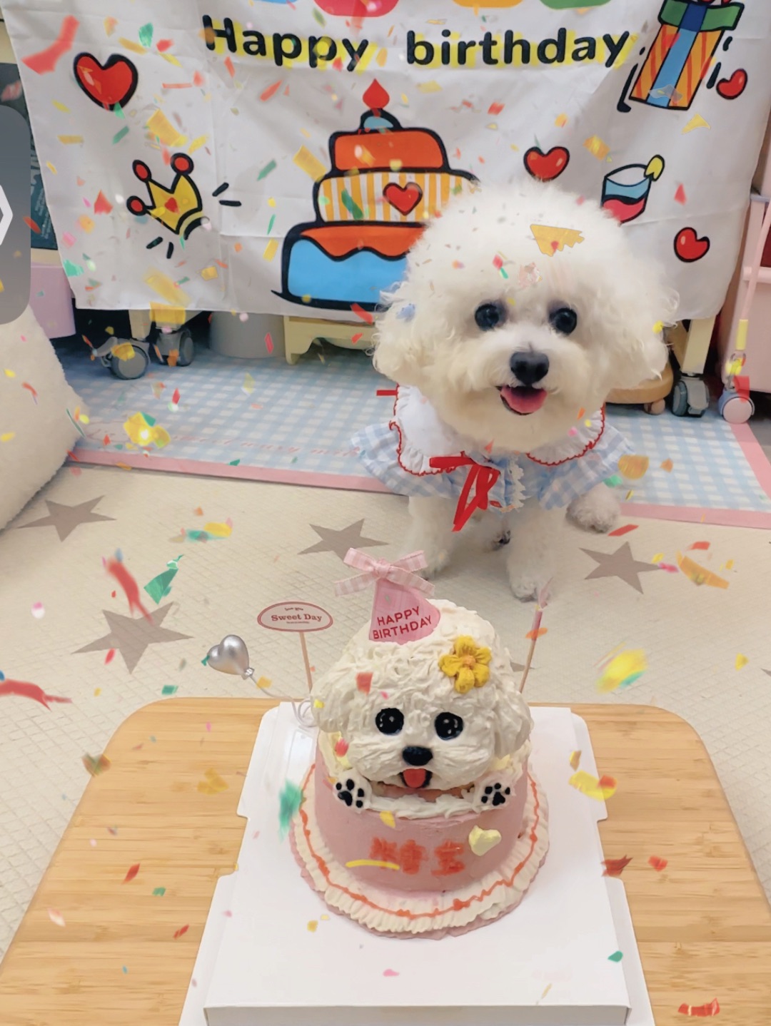 生日碎片