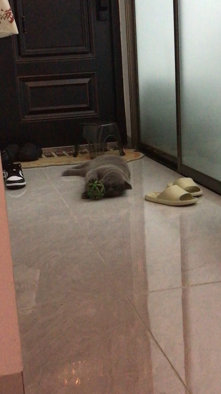 球🪀