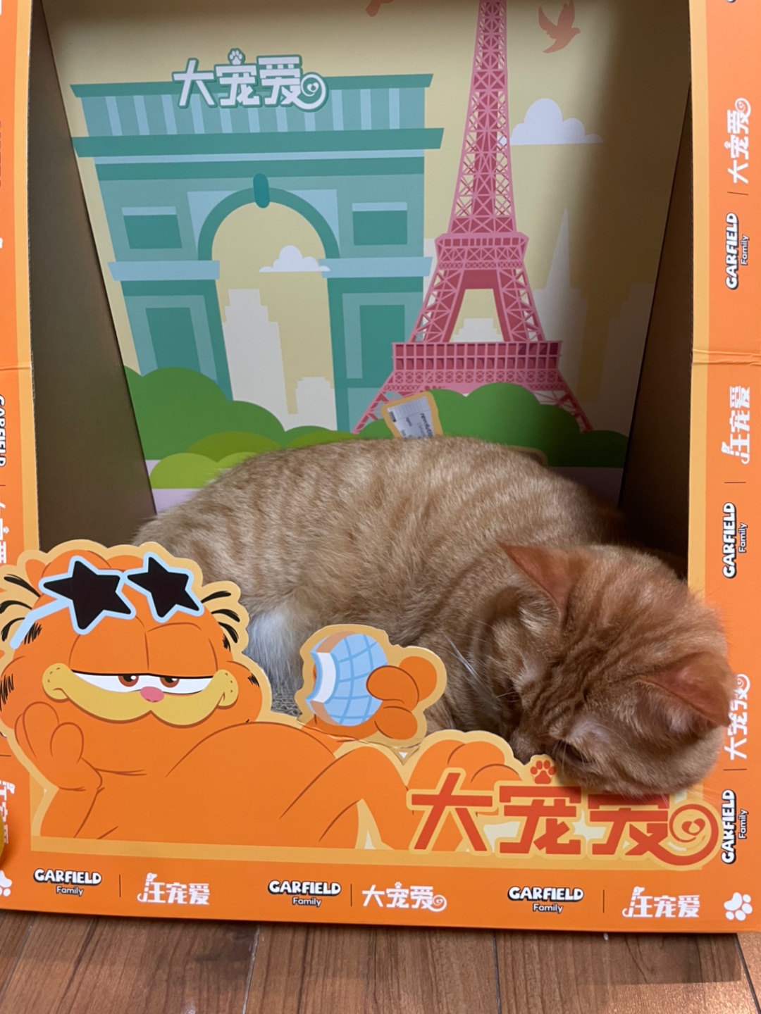 能吃几顿